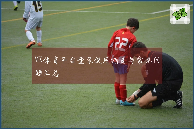 MK体育平台登录使用指南与常见问题汇总